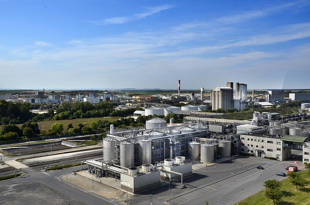 Technologie w obszarze biotechnologii: Jak innowacje kształtują przyszłość żywienia i zdrowia - 1 2025